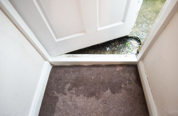 Wet Carpet Restoration in Encinitas