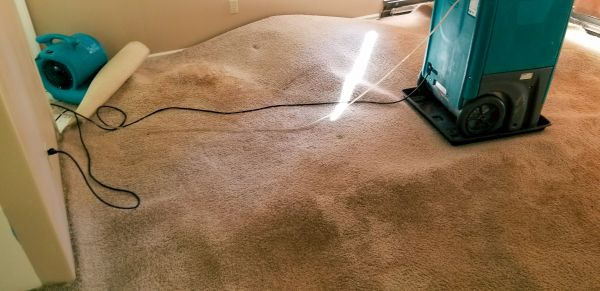 Carpet Water Extraction in Encinitas