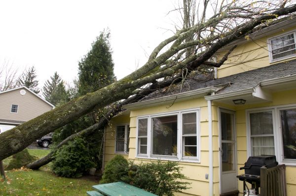 Hurricane Damage Repair in Encinitas
