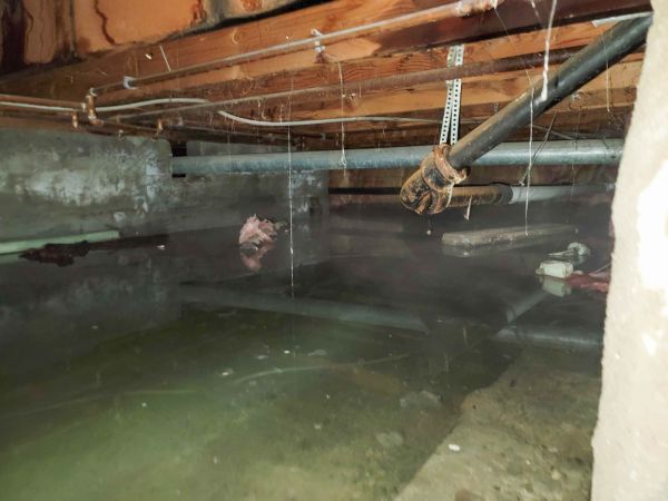 Crawlspace Water Restoration in Encinitas